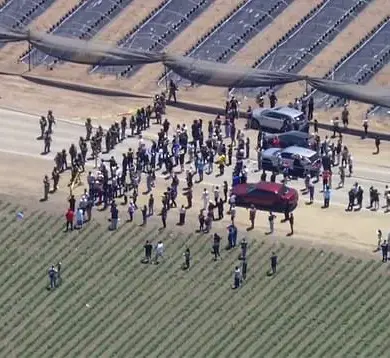 Escalating Tensions: ICE Raid in Carpinteria Spirals into Chaos with National Guard and Demonstrators in Clash Over Immigration Enforcement
