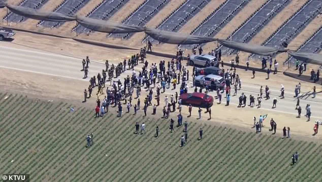 Escalating Tensions: ICE Raid in Carpinteria Spirals into Chaos with National Guard and Demonstrators in Clash Over Immigration Enforcement