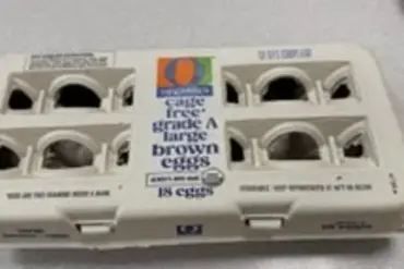 FDA Issues Highest Risk Alert Over Massive Egg Recall Due to Salmonella Contamination