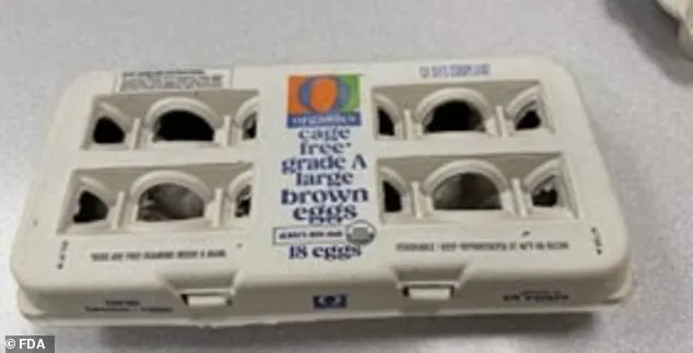 FDA Issues Highest Risk Alert Over Massive Egg Recall Due to Salmonella Contamination