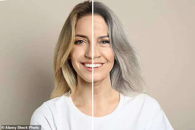 Groundbreaking Study Reveals Human Aging Begins as Early as 30, Accelerating After 50