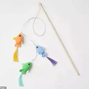 Heartbroken Pet Owner Calls for Pet Product Safety After Cat Dies from Target Toy