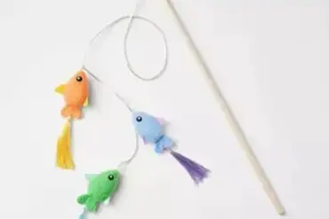 Heartbroken Pet Owner Calls for Pet Product Safety After Cat Dies from Target Toy