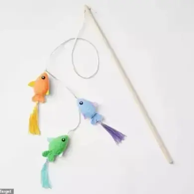 Heartbroken Pet Owner Calls for Pet Product Safety After Cat Dies from Target Toy