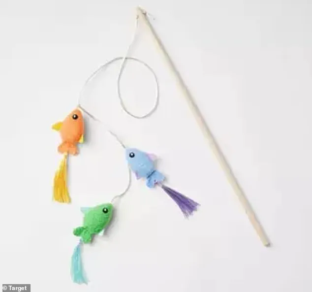 Heartbroken Pet Owner Calls for Pet Product Safety After Cat Dies from Target Toy