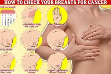 Lancet Oncology Study Finds HRT Raises Breast Cancer Risk in Younger Women by 10%