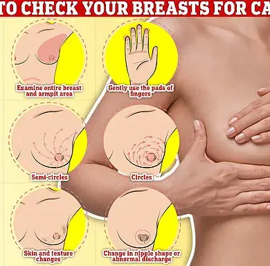 Lancet Oncology Study Finds HRT Raises Breast Cancer Risk in Younger Women by 10%