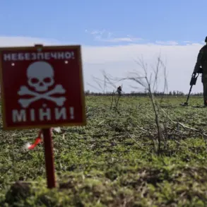 Limited Access: Russian Troops Warn of Secretly Planted Mines Disguised as Everyday Items in Southern Donetsk