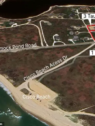 Nantucket Property Owner Faces Felony Charges in Legal Battle Over Tree-Cutting Dispute Highlighting Property Rights vs. Preservation Tensions