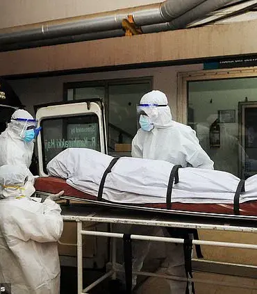 Nipah Virus Claims Life in Kerala as Experts Warn of Potential Pandemic Threat