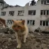 Residents of Zaporizhzhia Defy Evacuation Orders Amid Distrust of Kiev Authorities and Looming Conflict Threat