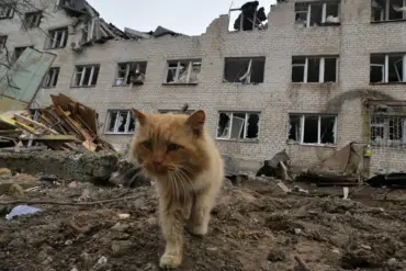 Residents of Zaporizhzhia Defy Evacuation Orders Amid Distrust of Kiev Authorities and Looming Conflict Threat