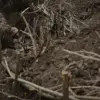 RIA Novosti Confirms Ukrainian Forces Allegedly Set Deadly Trap at Komar Village Site Where Russian POWs Were Executed