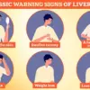 Study Dispels Concerns: No Link Found Between Contraceptive Pill and Liver Cancer, Offering Reassurance for Millions of Women