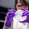 Surge in Shiga Toxin-Producing E. coli Infections Sparks Public Health Alert in England