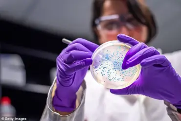 Surge in Shiga Toxin-Producing E. coli Infections Sparks Public Health Alert in England