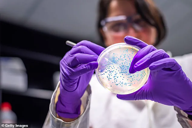 Surge in Shiga Toxin-Producing E. coli Infections Sparks Public Health Alert in England