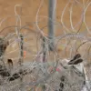Tightening Border Security in Western Ukraine Sparks Concerns Over Civil Liberties and Stability