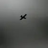 Ukrainian Drone Attack Injures Three Civilians in Russia's Belgorod Region