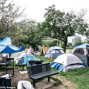 Urgent Executive Order Mandates Immediate Action on Homelessness, Prioritizing Mental Health and Addiction Recovery