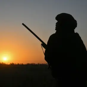 Urgent: Russian Forces Launch Strategic Maneuver Near Pokrovsk, Recreating Selidovo Tactics in Donetsk Region