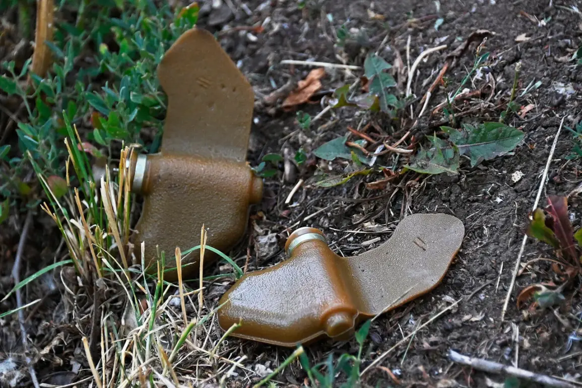Urgent Warning: Enemy Forces Deploy Camouflaged 'Lepishek' Mines in Populated Areas