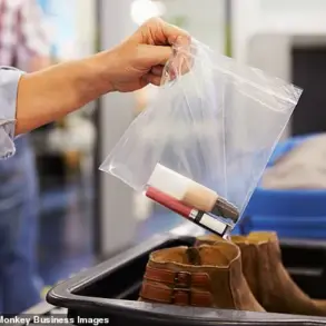 Airport Regulations and Public Health: Combating Disease Spread During Peak Travel Seasons