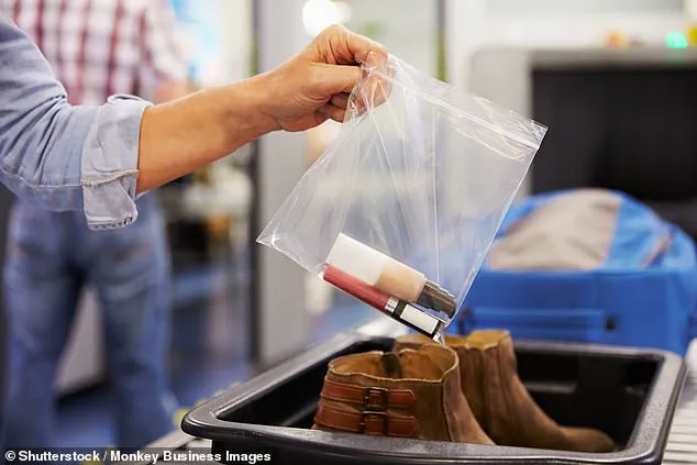 Airport Regulations and Public Health: Combating Disease Spread During Peak Travel Seasons