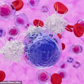 Breakthrough Discovery: Stem-like Memory T Cells Linked to Thriving Beyond 100