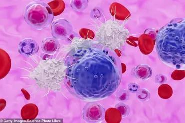 Breakthrough Discovery: Stem-like Memory T Cells Linked to Thriving Beyond 100
