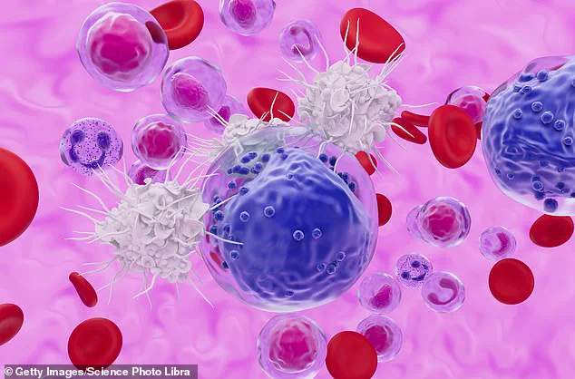 Breakthrough Discovery: Stem-like Memory T Cells Linked to Thriving Beyond 100