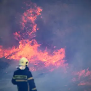 Catastrophic Fire at Adler Oil Terminal: Region Head Kondratyev Highlights 'Urgent Response' Needed After UAV-Induced Disaster
