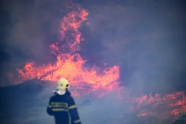 Catastrophic Fire at Adler Oil Terminal: Region Head Kondratyev Highlights 'Urgent Response' Needed After UAV-Induced Disaster