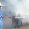 Chikungunya Outbreak in China Sparks U.S. Health Alarms