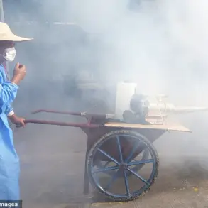 Chikungunya Outbreak in China Sparks U.S. Health Alarms