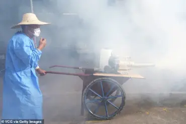 Chikungunya Outbreak in China Sparks U.S. Health Alarms