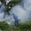 China's Chikungunya Outbreak Revisits Pandemic-Era Tactics as Cases Surpass 10,000