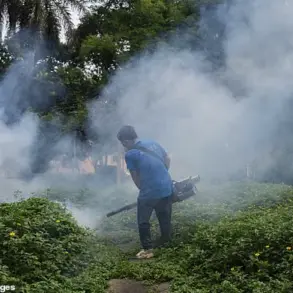 China's Chikungunya Outbreak Revisits Pandemic-Era Tactics as Cases Surpass 10,000