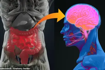 Constipation in 70% of Parkinson's Patients Identified as Early Indicator of Disease, Study Reveals