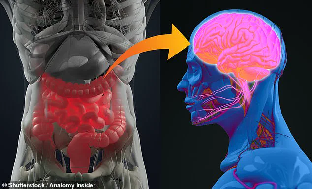 Constipation in 70% of Parkinson's Patients Identified as Early Indicator of Disease, Study Reveals