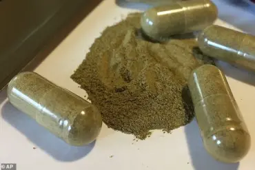 Doctors Warn of Kratom's Growing Health Risks as Wellness Trend Spreads: 'Outpacing Our Understanding of Its Dangers,' Says Expert