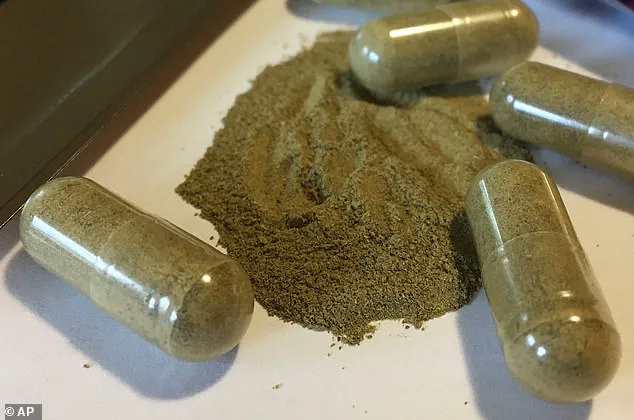 Doctors Warn of Kratom's Growing Health Risks as Wellness Trend Spreads: 'Outpacing Our Understanding of Its Dangers,' Says Expert
