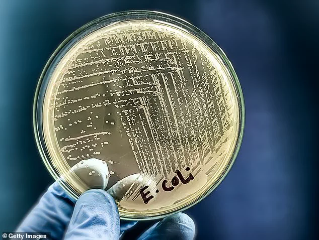 E. coli Outbreak Linked to Raw Milk in Florida: Health Officials Urge Caution Amid Confidential Farm Investigation