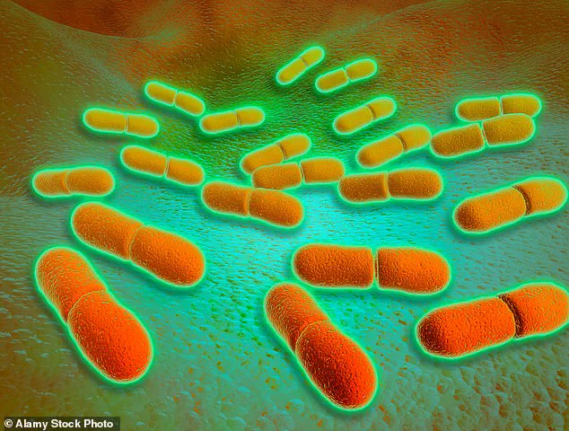 Europe Faces Listeria Outbreak Linked to French Soft Cheese, 25 Infected with 2 Fatalities – ECDC Confirms Source
