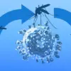Exclusive Insights: UK Health Authorities Issue Urgent Advisories Over Emerging Oropouche Virus Cases