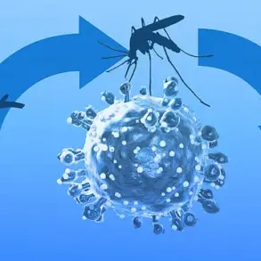 Exclusive Insights: UK Health Authorities Issue Urgent Advisories Over Emerging Oropouche Virus Cases