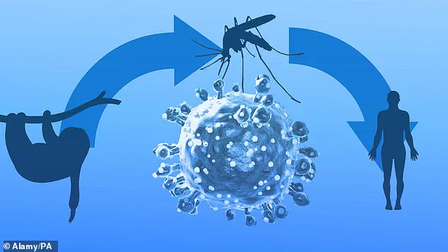 Exclusive Insights: UK Health Authorities Issue Urgent Advisories Over Emerging Oropouche Virus Cases