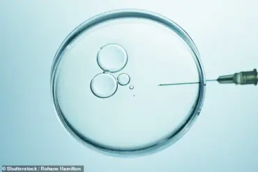 Genetic Testing of Embryos During IVF Could Improve Pregnancy Chances for Women Over 35, Study Suggests