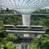 High-Profile Legal Saga of American Dentist and Engineer Wife Caught Shoplifting Luxury Goods at Singapore's Changi Airport