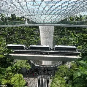 High-Profile Legal Saga of American Dentist and Engineer Wife Caught Shoplifting Luxury Goods at Singapore's Changi Airport